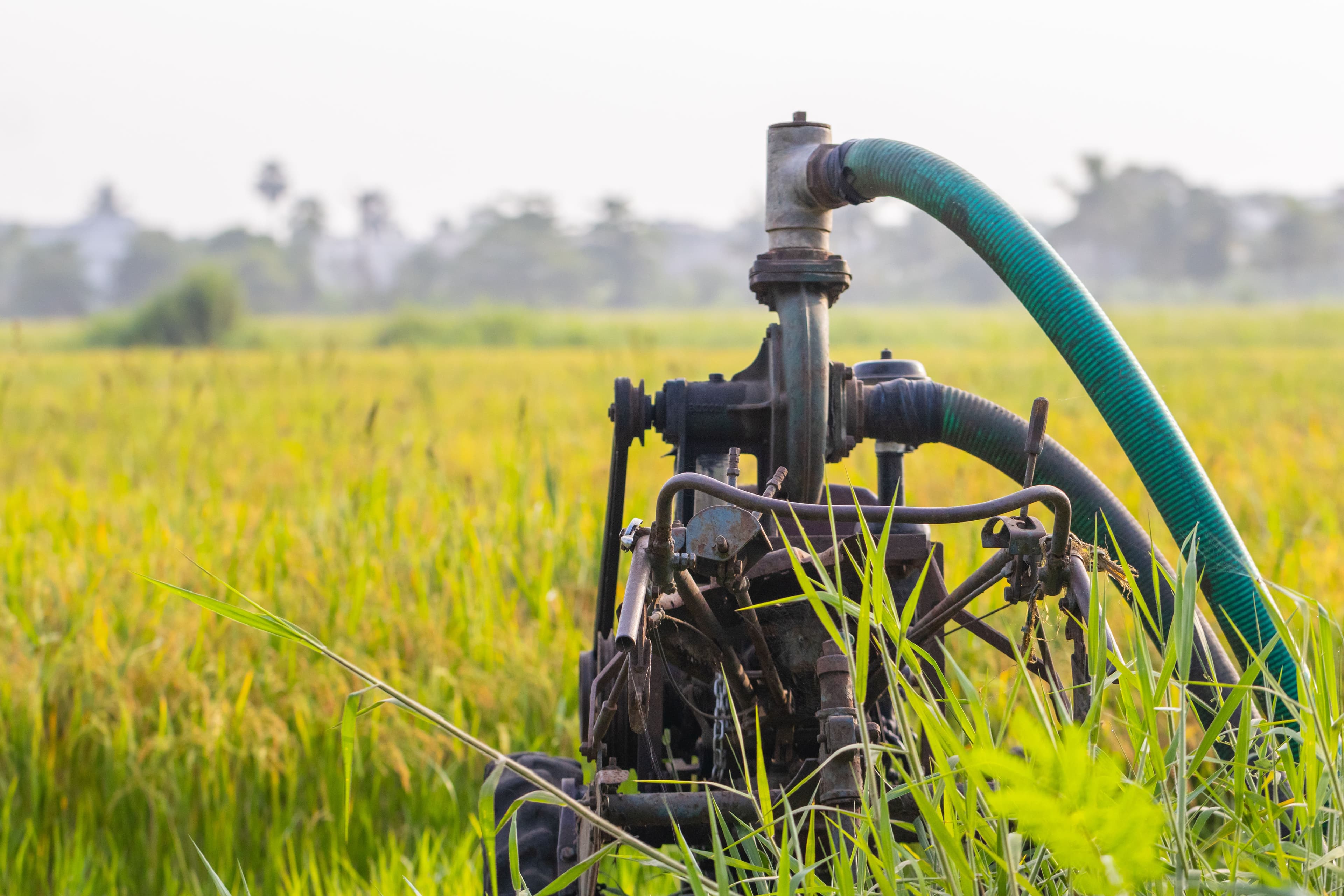 Solar water pump system for agriculture